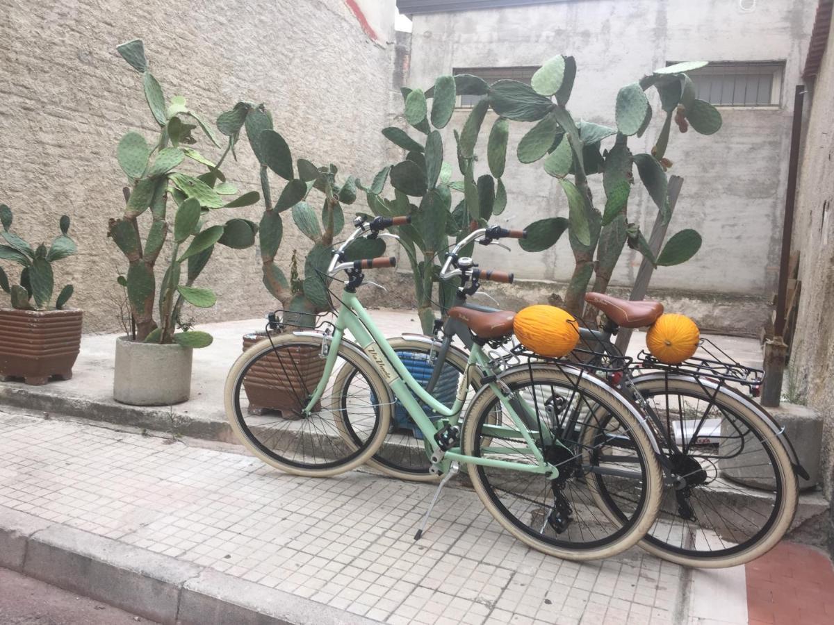 Apartment Sea View With Bicycles And Stand-up Paddle